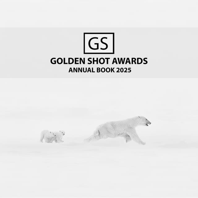 Cover of Golden Shot Awards Annual Book 2025