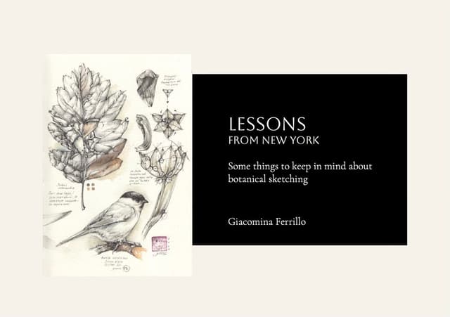 Cover of Lessons from New York