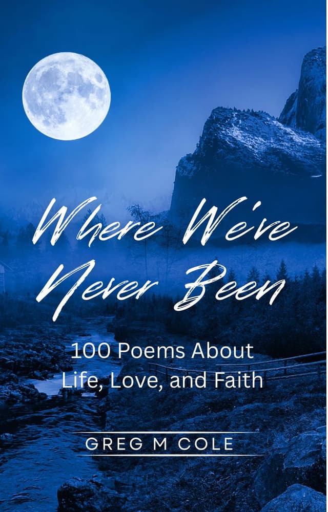 Cover of Where We've Never Been