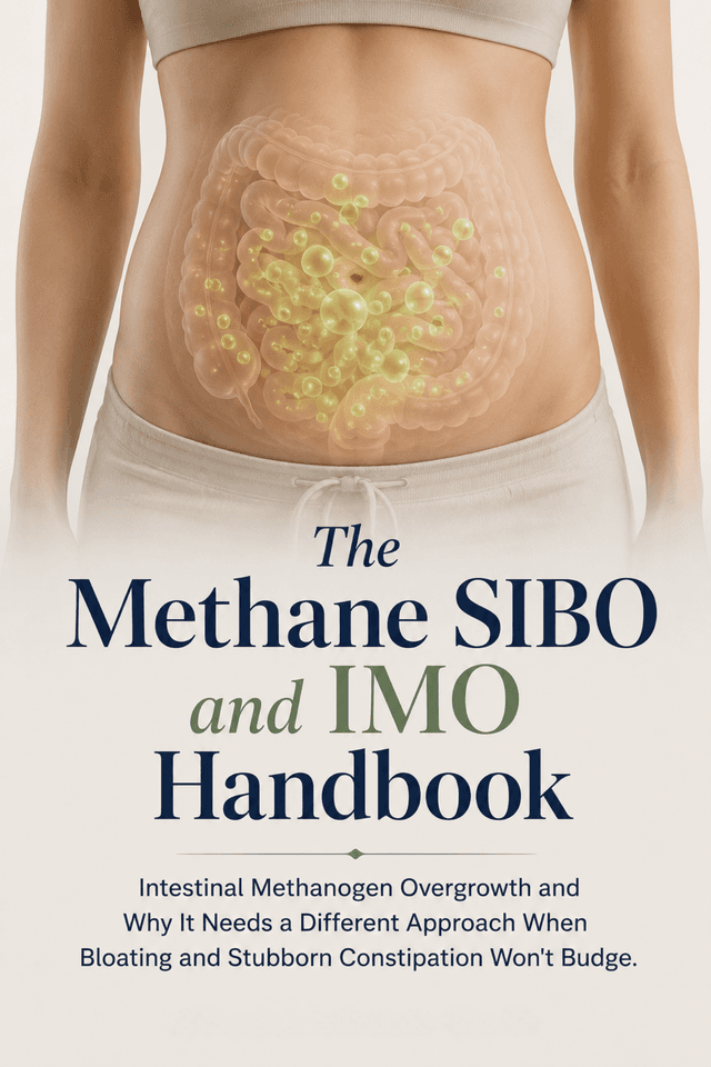 Cover of The Methane SIBO & IMO Handbook