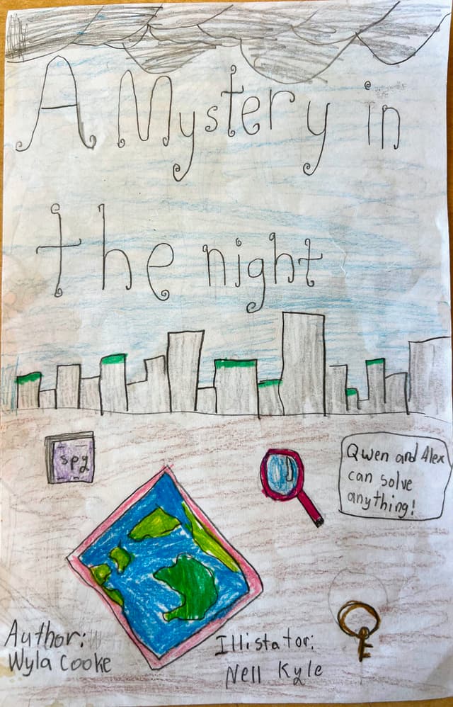 Cover of A Mystery in the Night